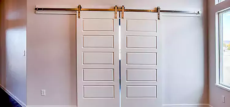Glass Barn Door with Installation Hardware Kit West Palm Beach