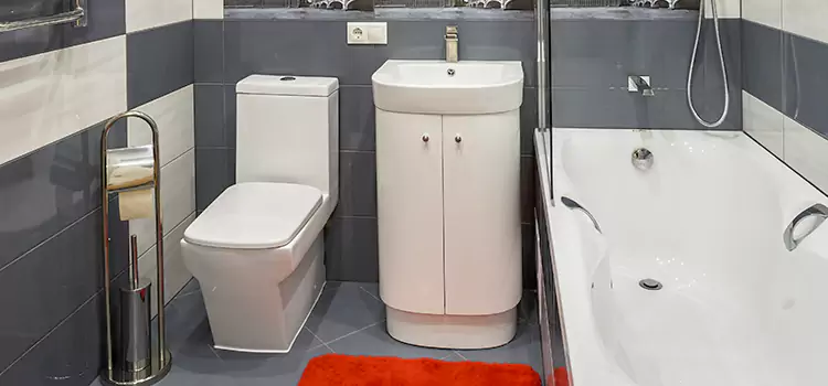 Hansgrohe Shaving Mirror West Palm Beach